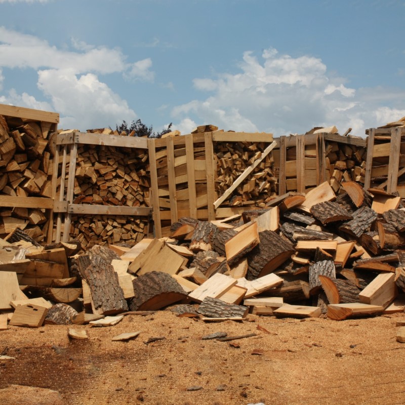 172dbc45-ba58-4261-8e31-b671bd4de4f9